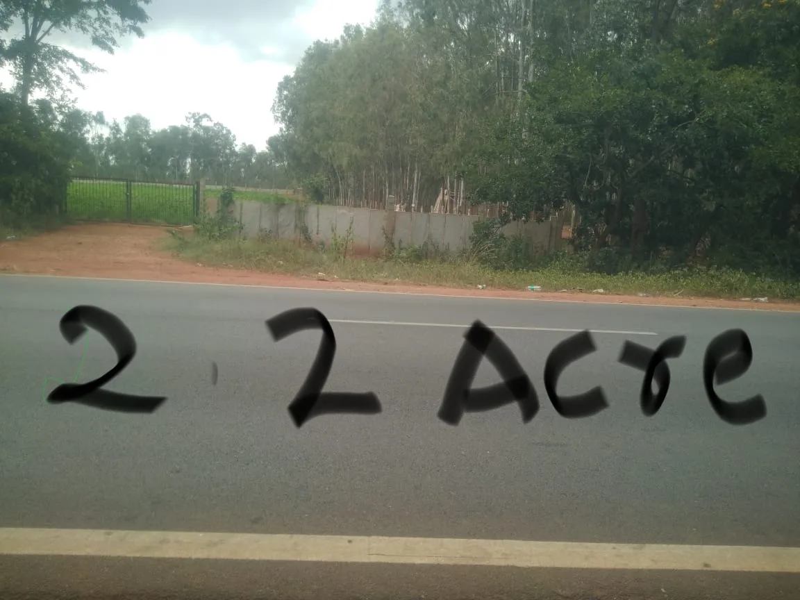 1000055673