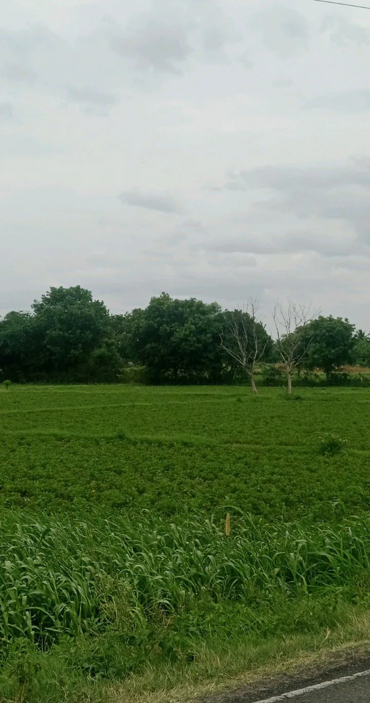50c20b3d-0c43-4e25-9e6a-8386d2bd9145