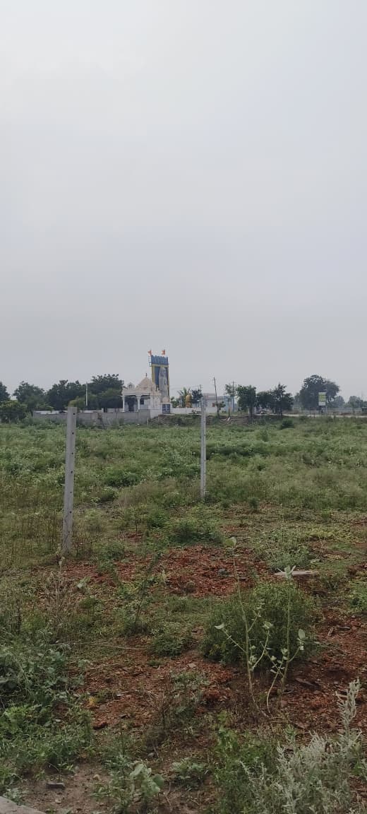 Commercial land 2