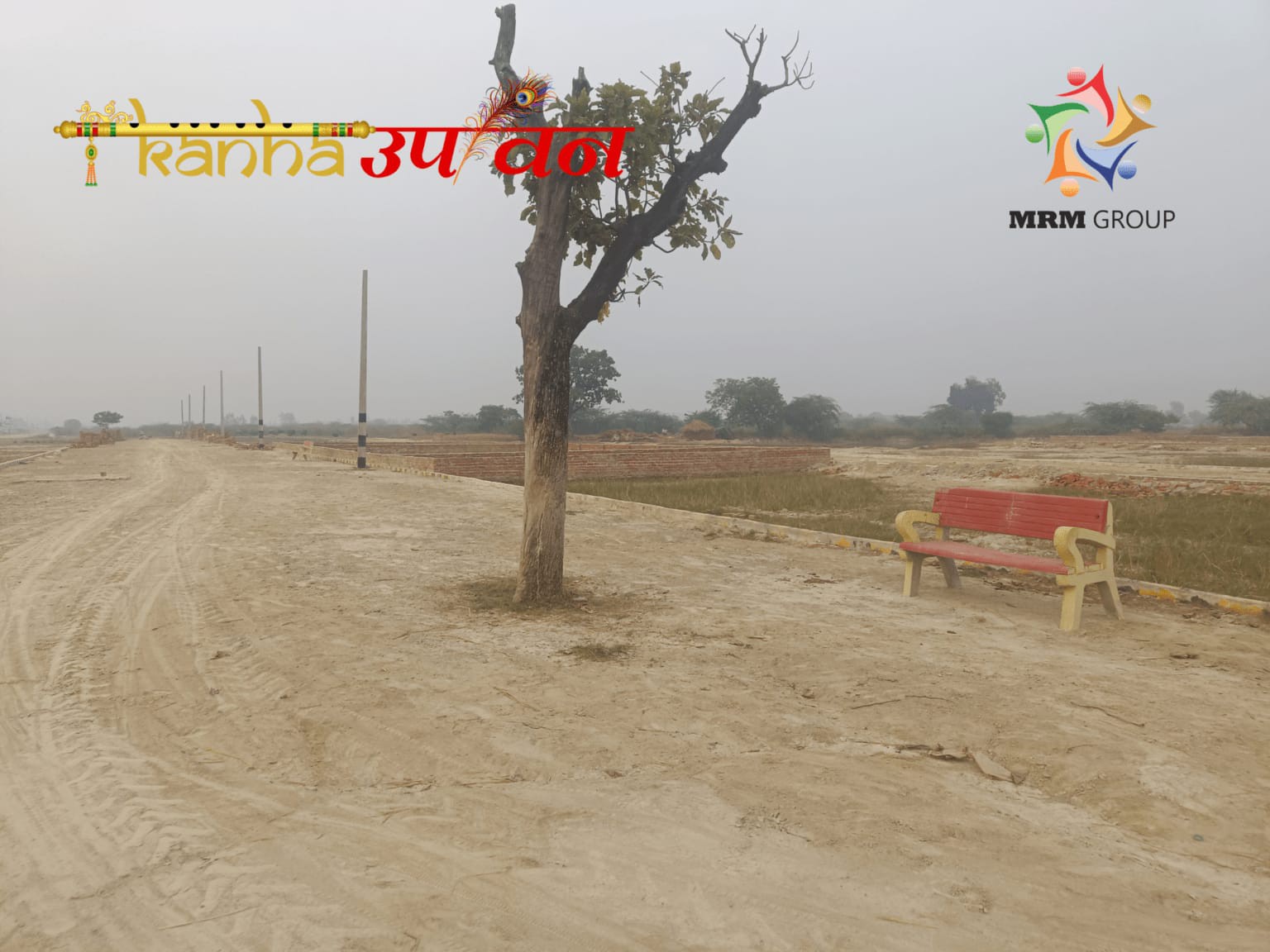 scaled_6471af1f-e20b-48cb-96b1-8ff7dc7b1ab8-1_all_1491