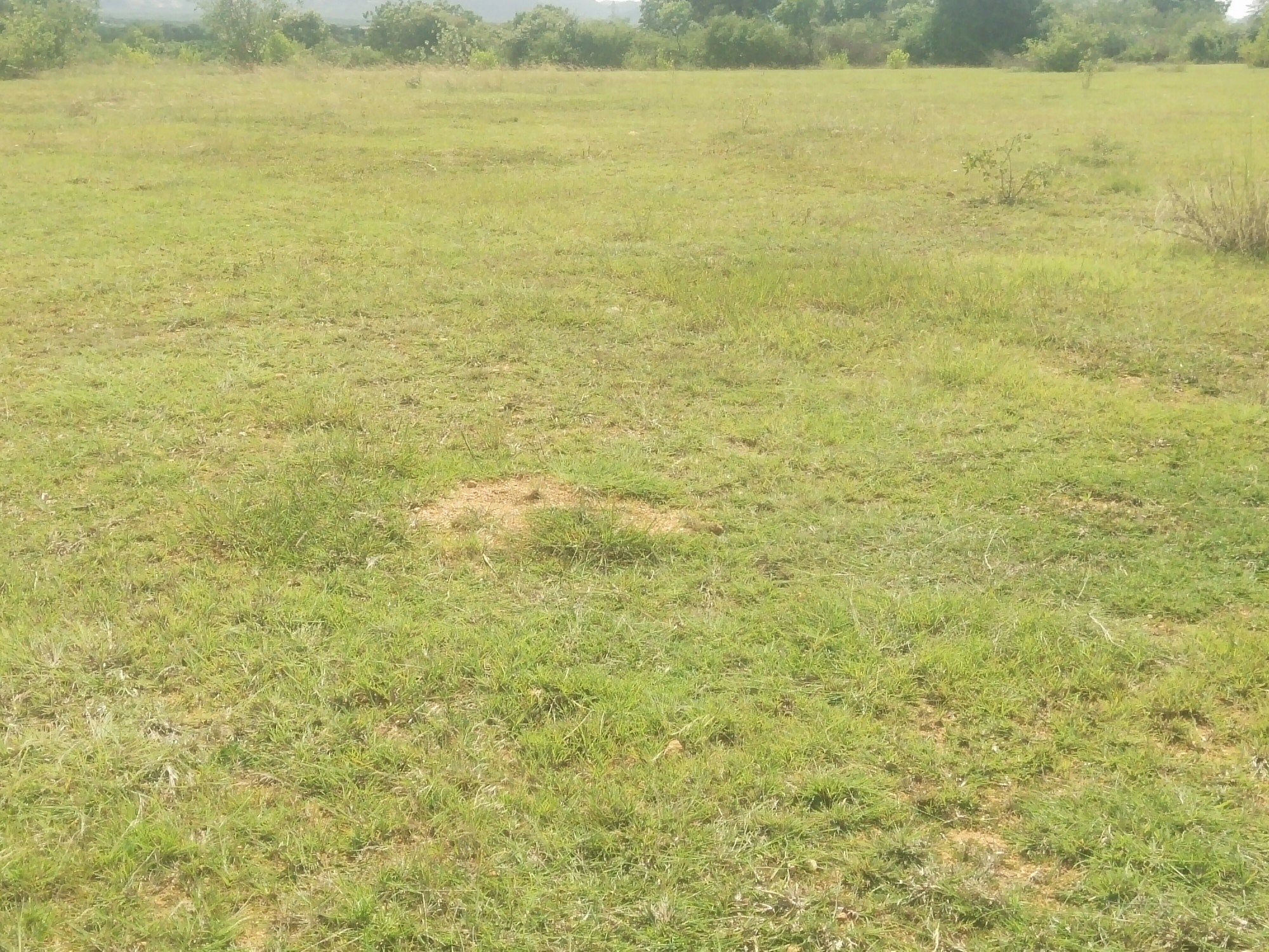 scaled_IMG_20250927_140019