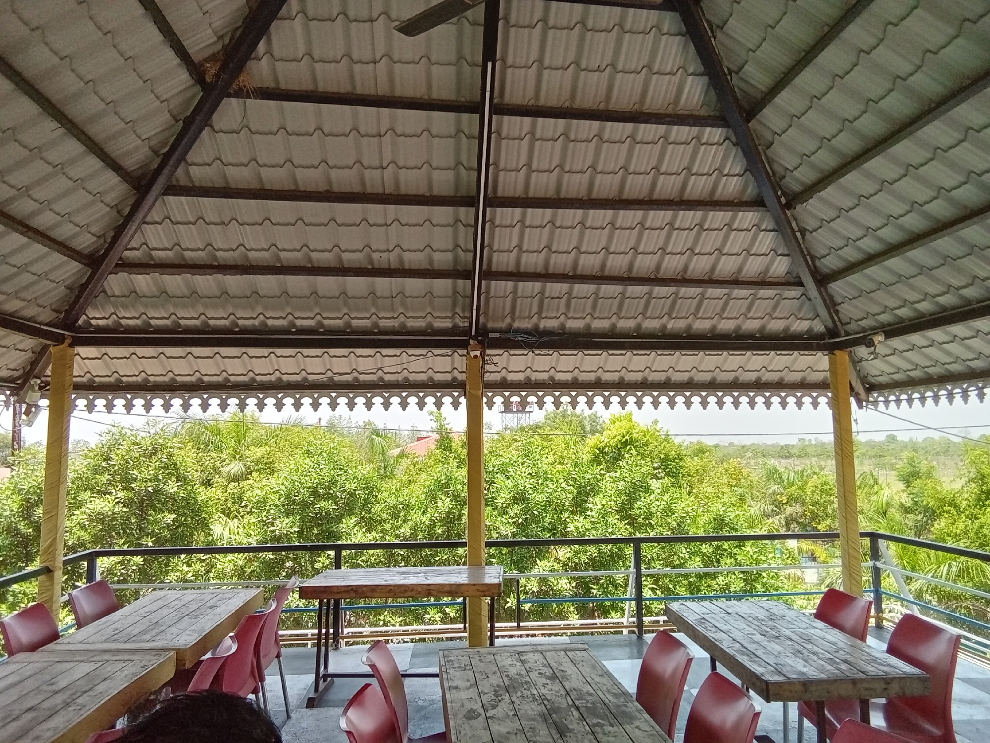 urgently Farmhouse and Farmland for sale 2