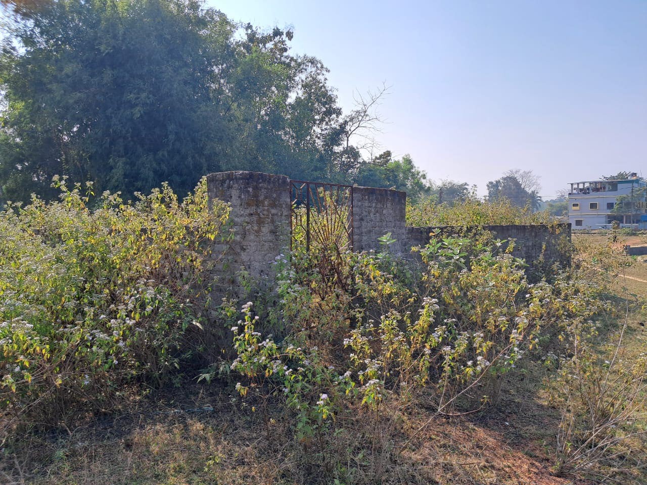 Gharbadi Plot For Sale 3