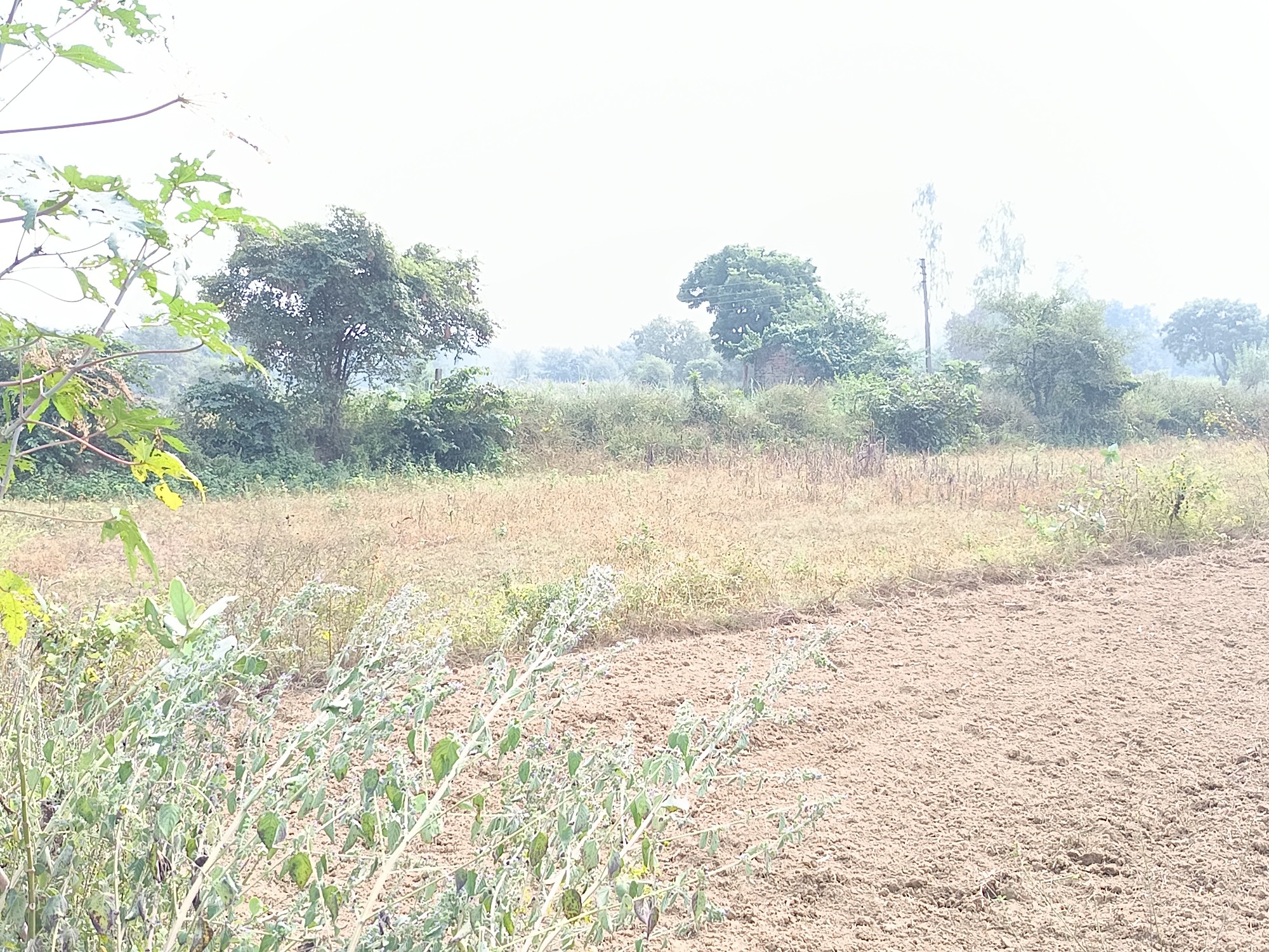 Property In Ayodhya 3