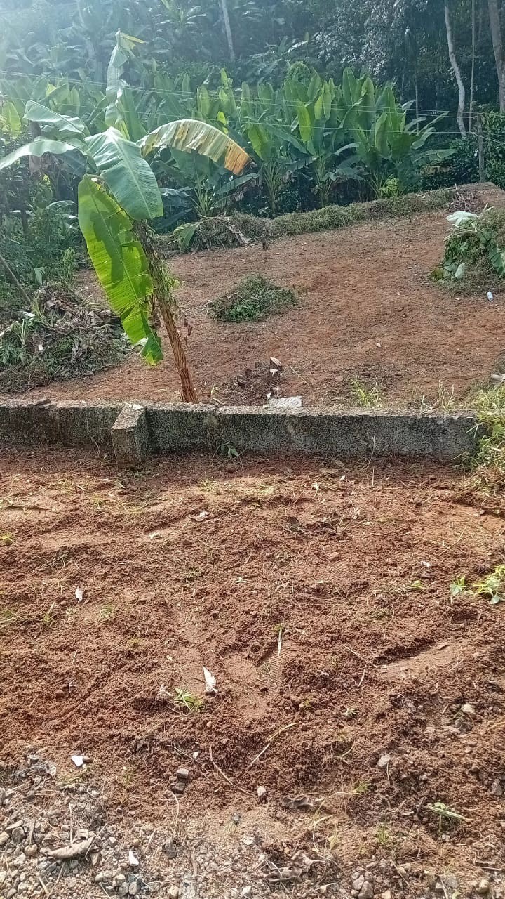 land for sale in Mylapra 3