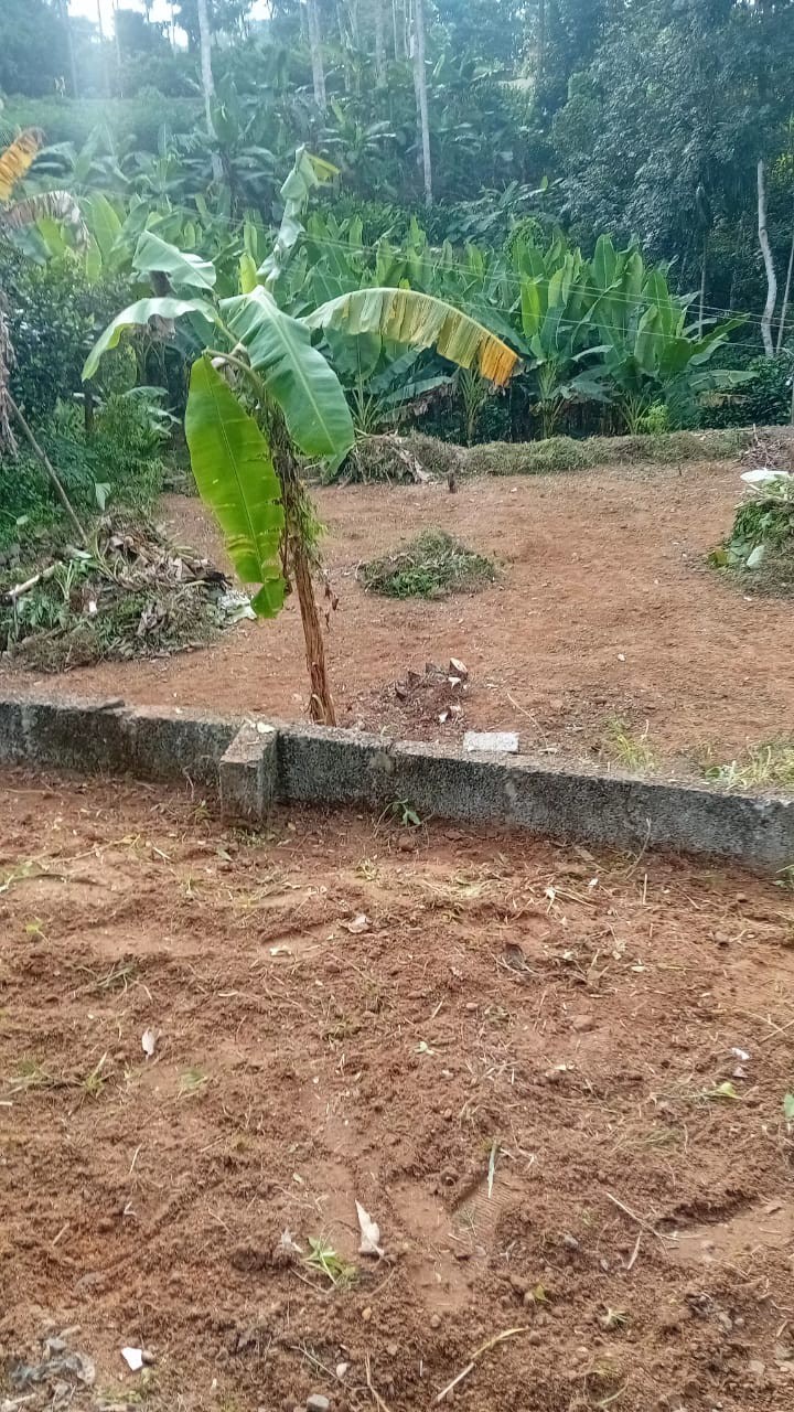 land for sale in Mylapra 2