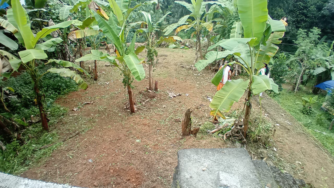 land for sale in Mylapra