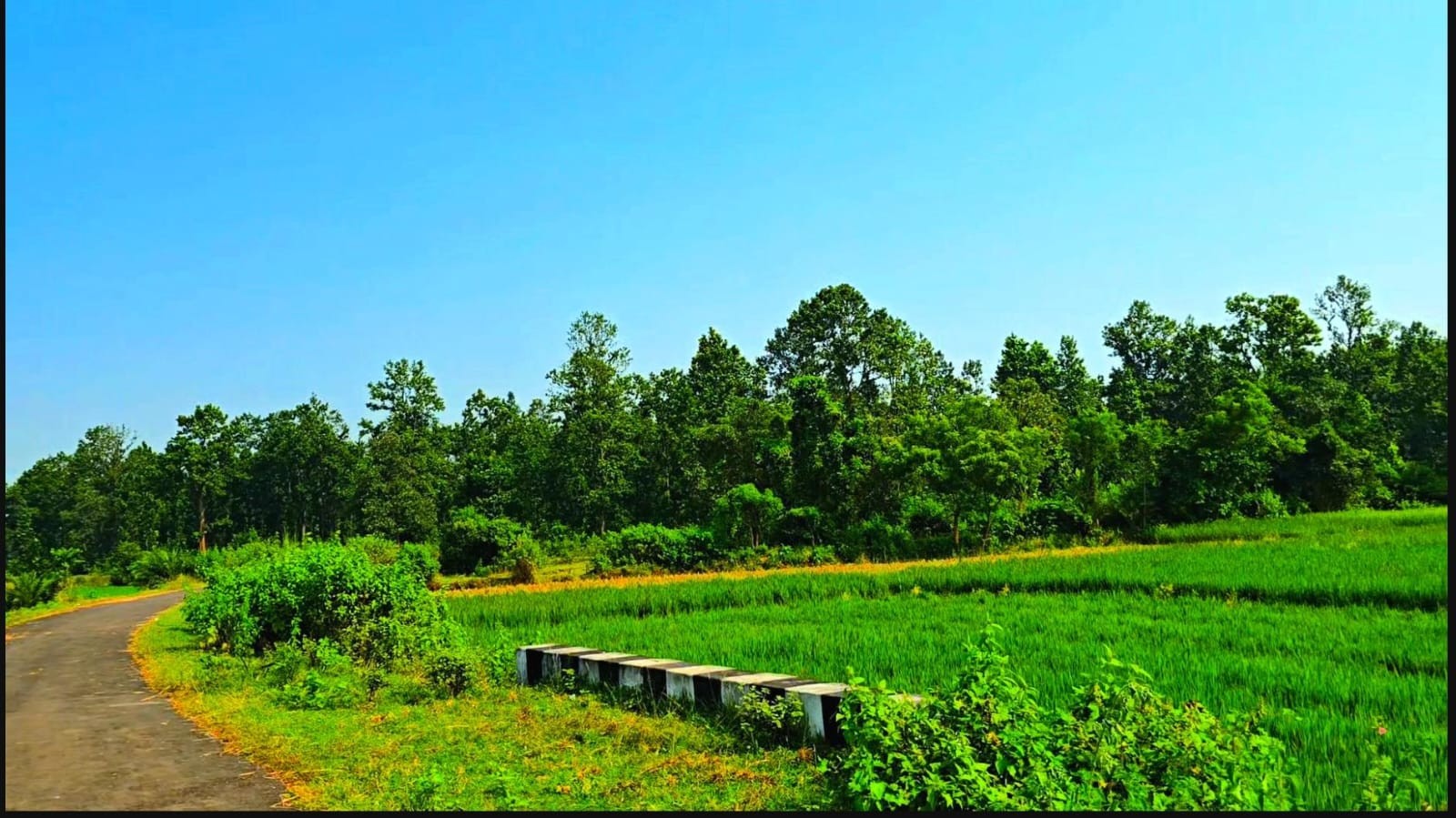 Beliyator to Burdwan main road theke 2km distance a Pitch Rastar pase 30 Bigha property 3