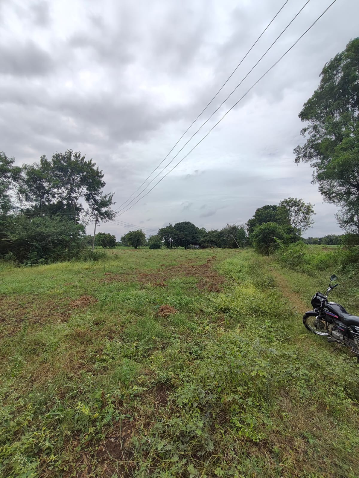 agricultural land 3
