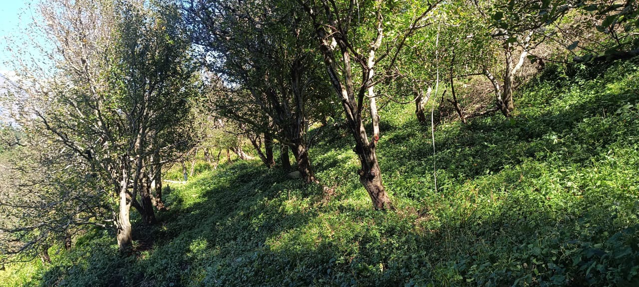 land for sale 2