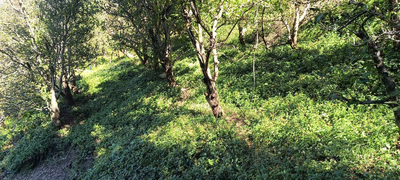 land for sale 3