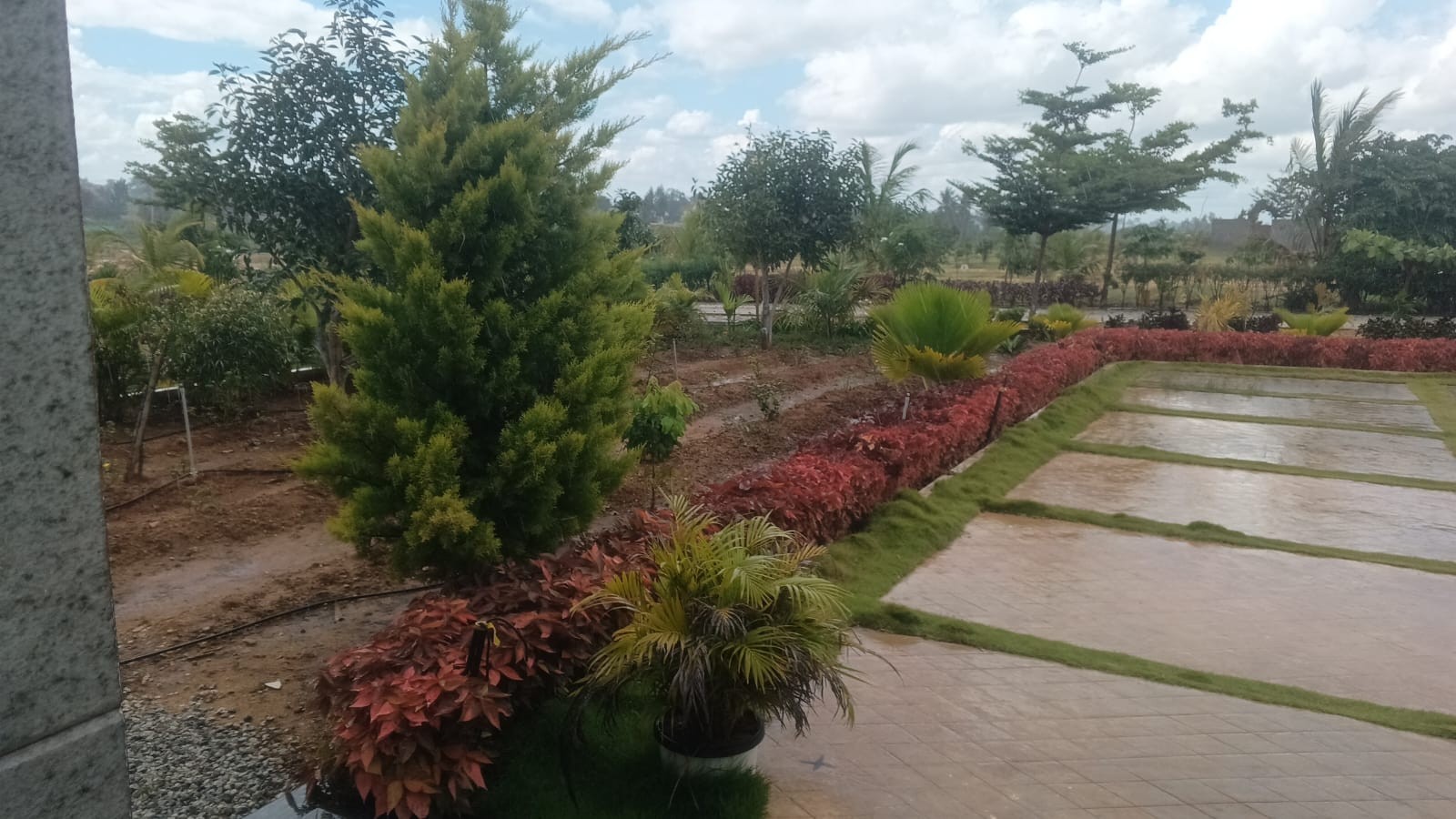 best investment and resident plots E katha