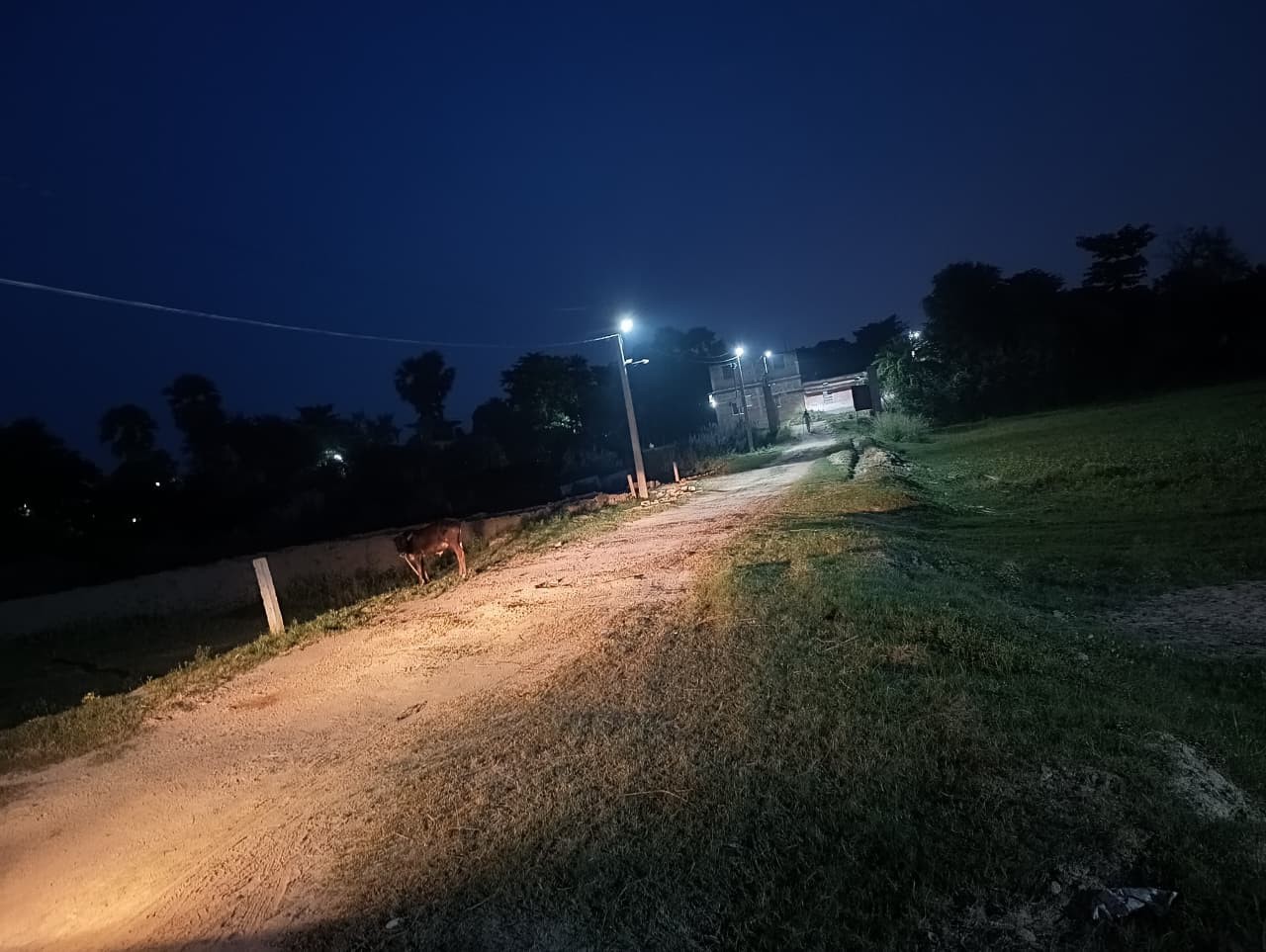 Residential &amp; Commercial Plot available in best location Near Darbhanga AIIMS &amp; Darbhanga Airport 3
