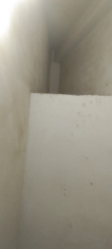 scaled_1764168638624