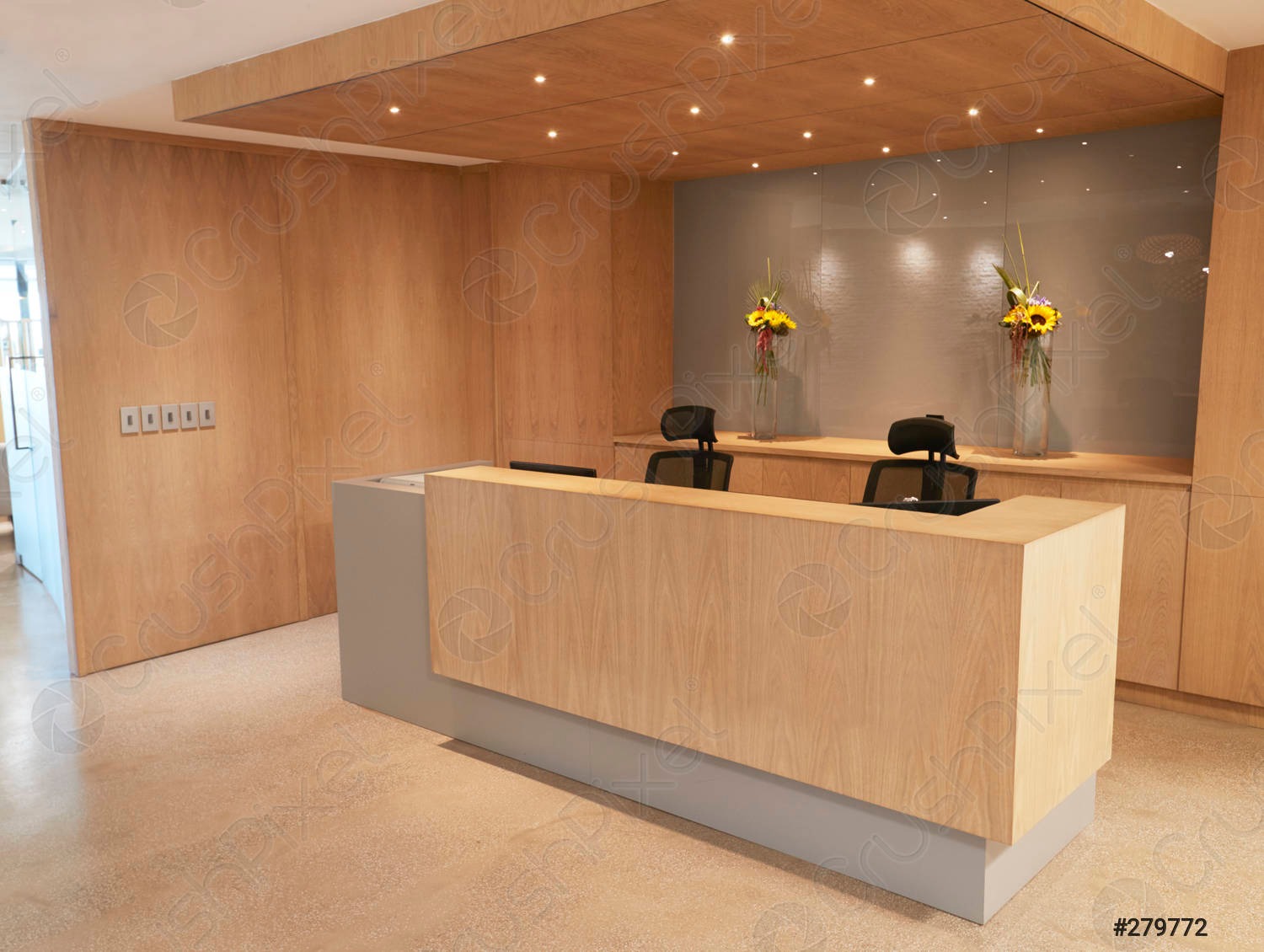 Commercial Space Office 2