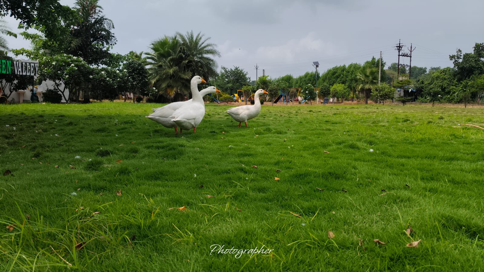 Nagpur Amravati road ki sabse hot investment 2