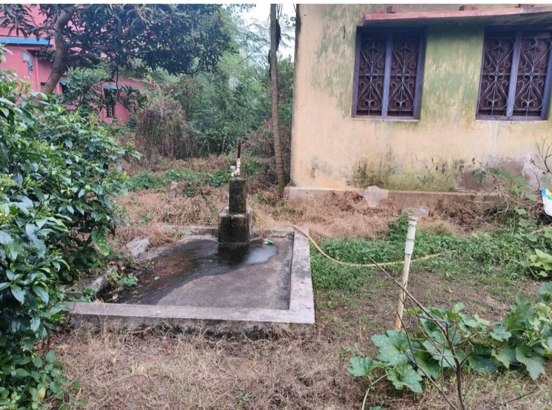 open plot 2