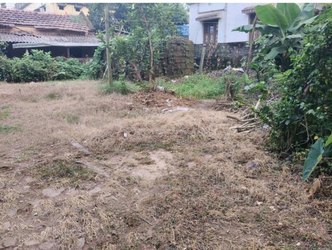 open plot 3