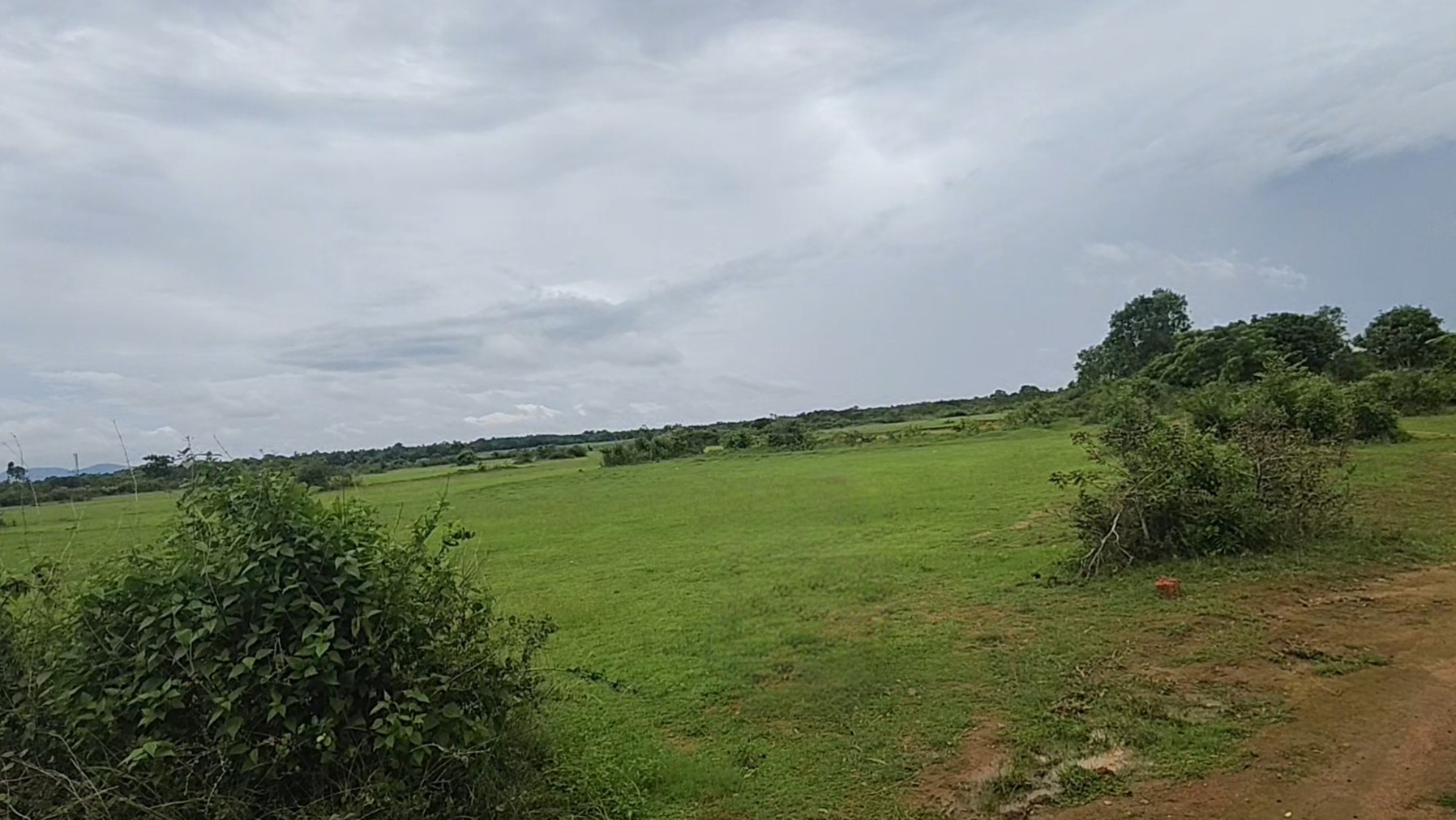 barasahi plot for sale 2