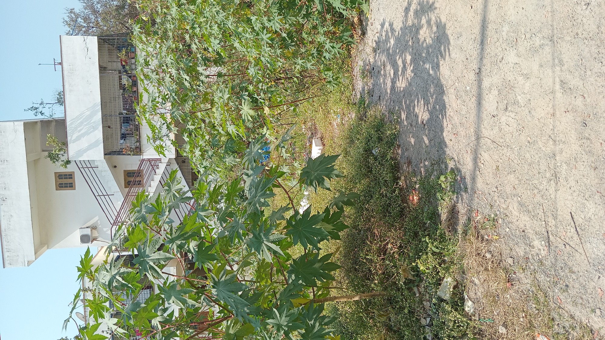 PLOTS AVAILABLE AT MIYAPUR, CHANDA NAGAR, MADINAGUDA AND AMEENPUR 2