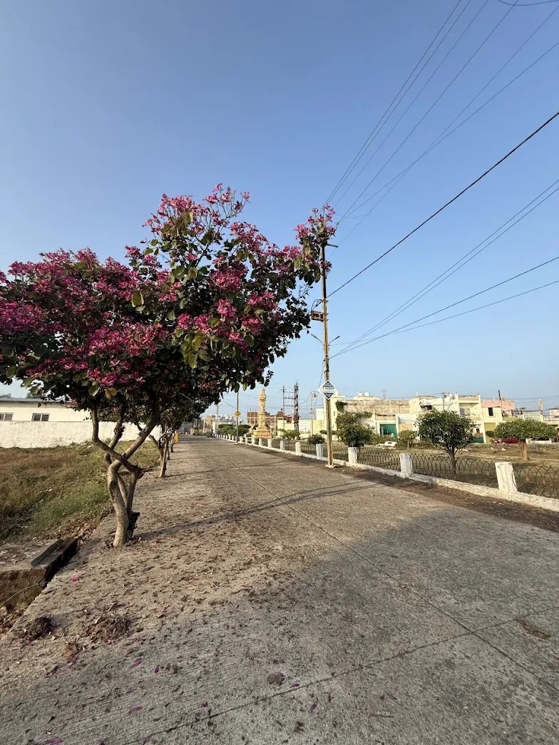nakasatra nagar phase 3A 2