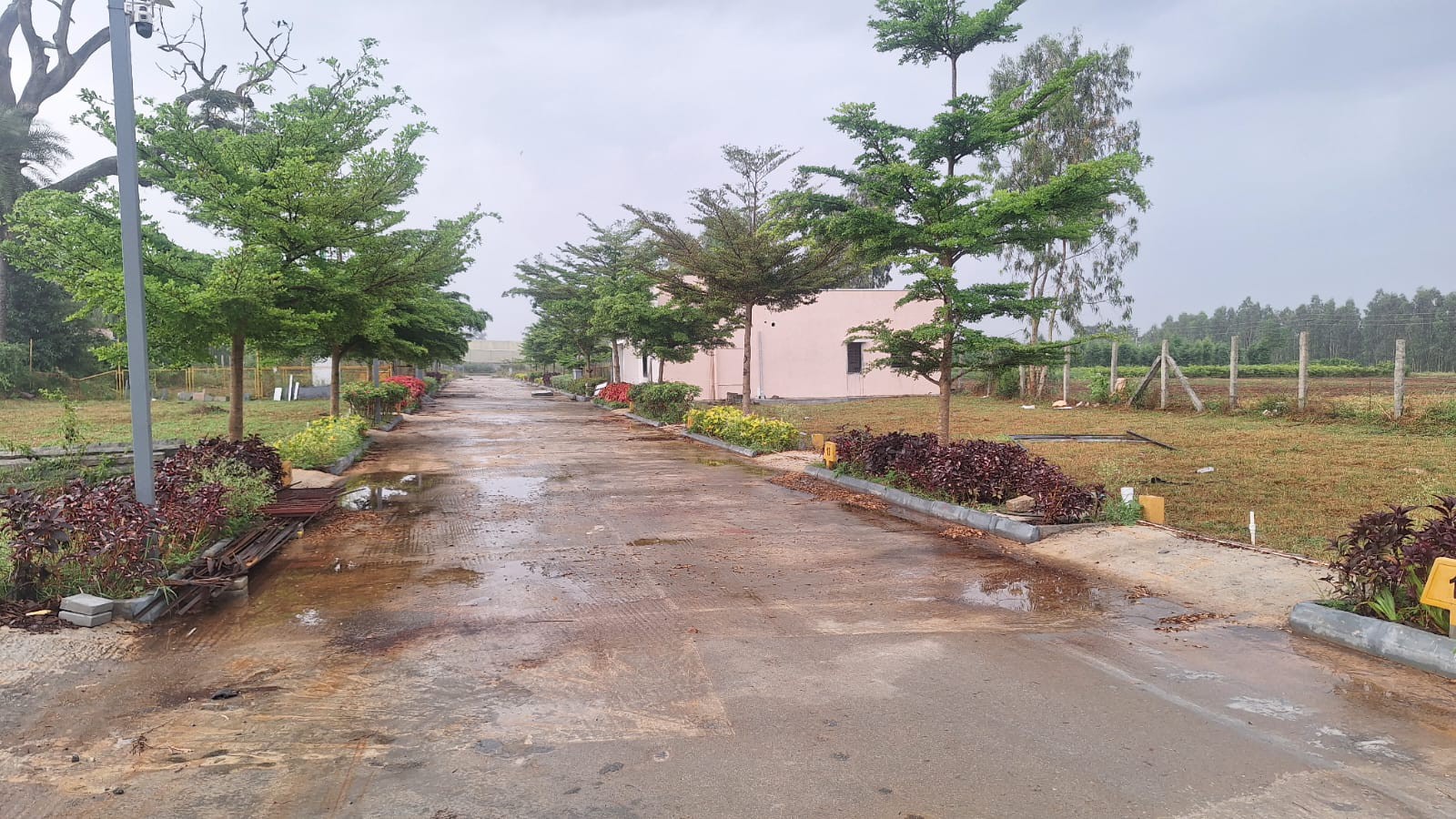 KNS BHAVATHI SILVER WOOD 2