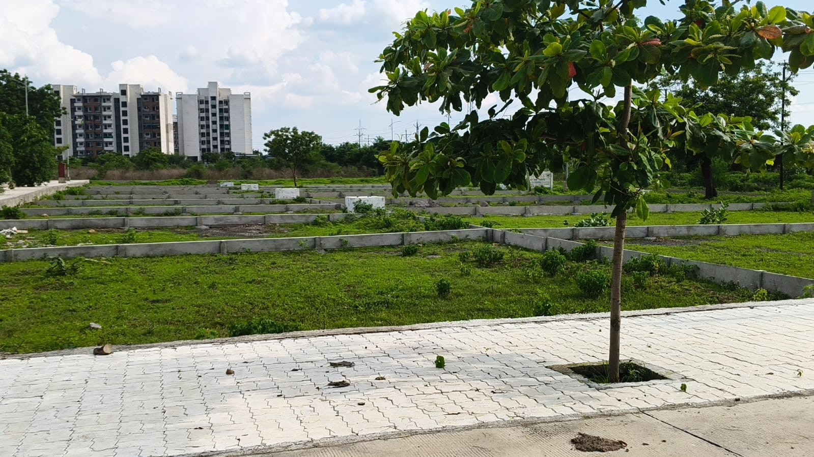 RL plots near samruddhi highway higna