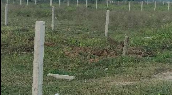 farm house for sale nr Jagral 1 lac per marla 66ft road