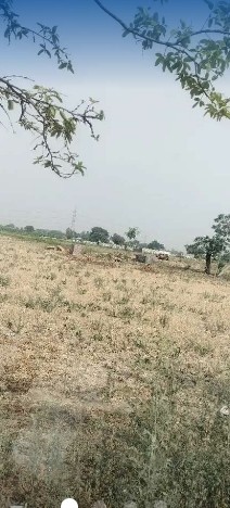 corner 2 acre land near jamsher in just 42 lac per acre