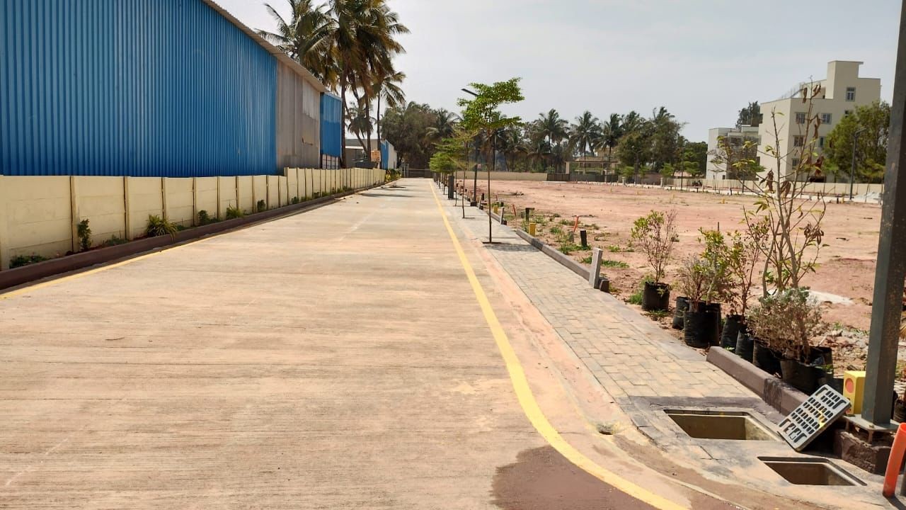 Erayaa shivanandhi orchids