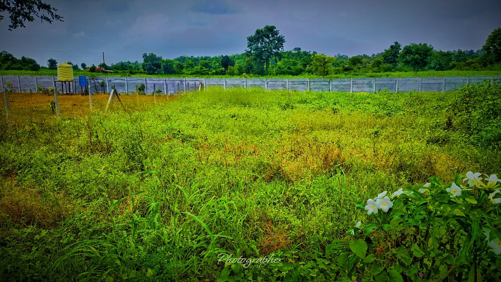 Want to sale 5000 sqft lands for Farmhouse.