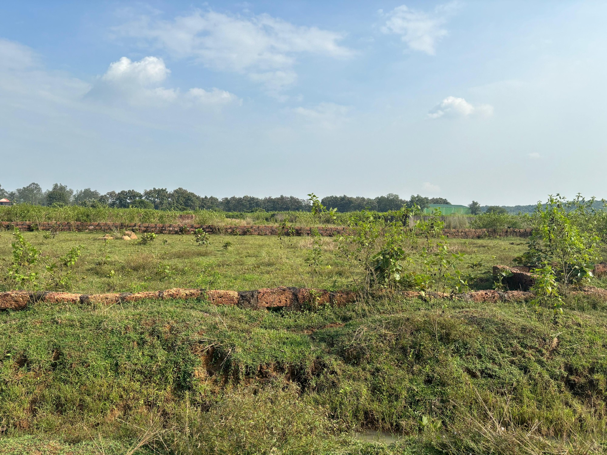 banki, Chakradharpur plot, Cuttack 3