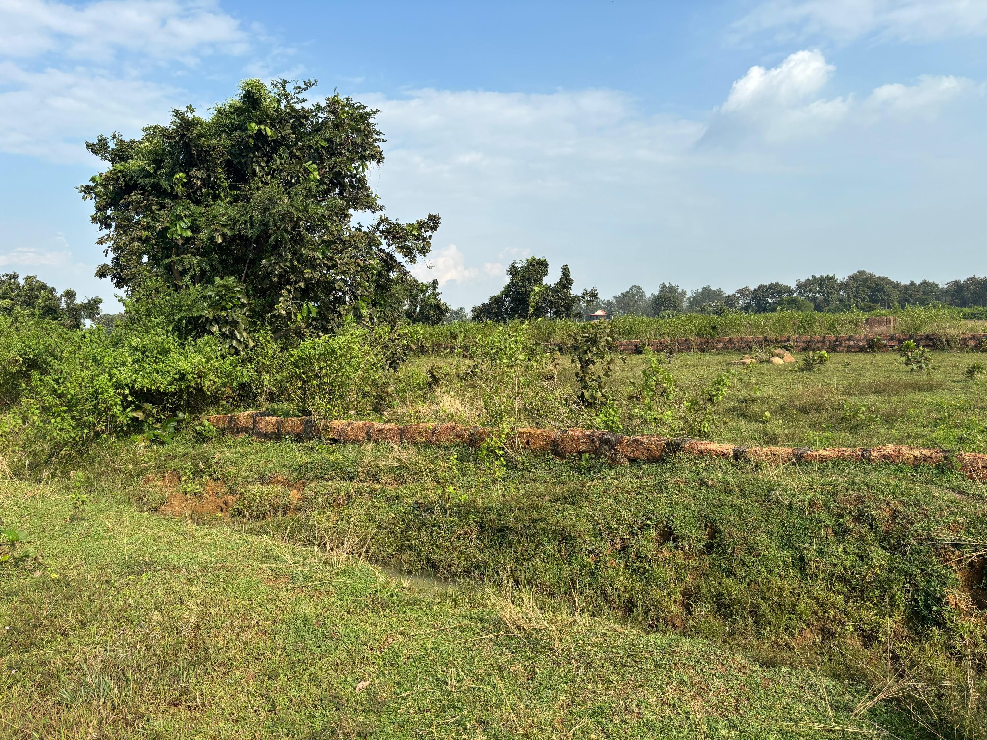 banki, Chakradharpur plot, Cuttack 2