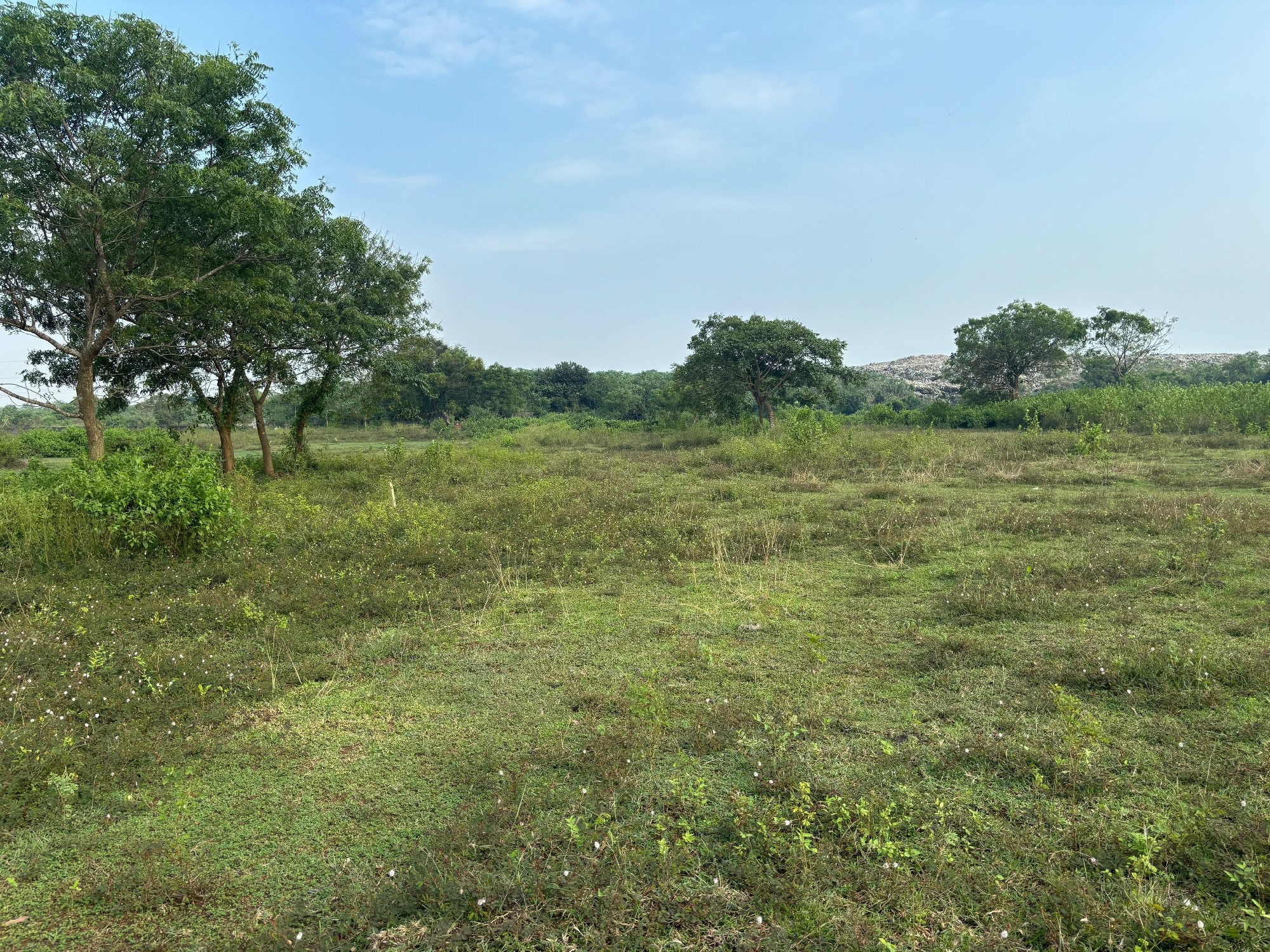 banki, Chakradharpur plot, Cuttack
