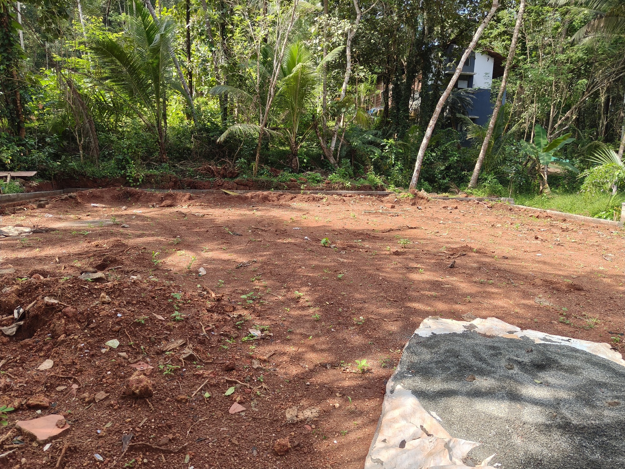 17.50 cents of land at vallikkunnu, near arambachal juma masjid, pantheerankavu 3