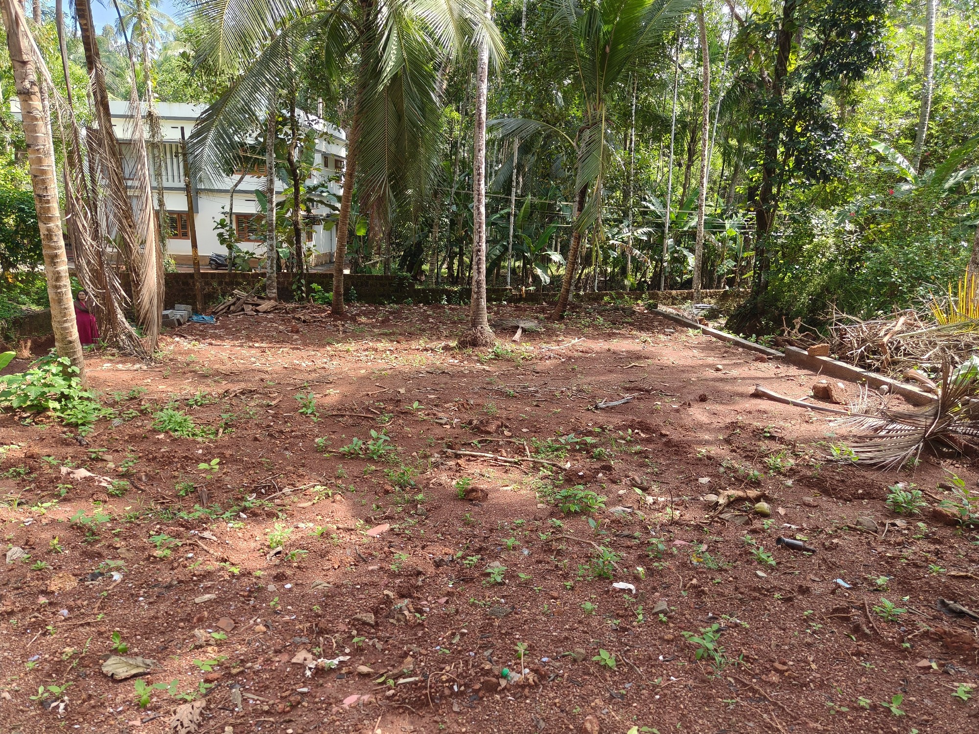 17.50 cents of land at vallikkunnu, near arambachal juma masjid, pantheerankavu