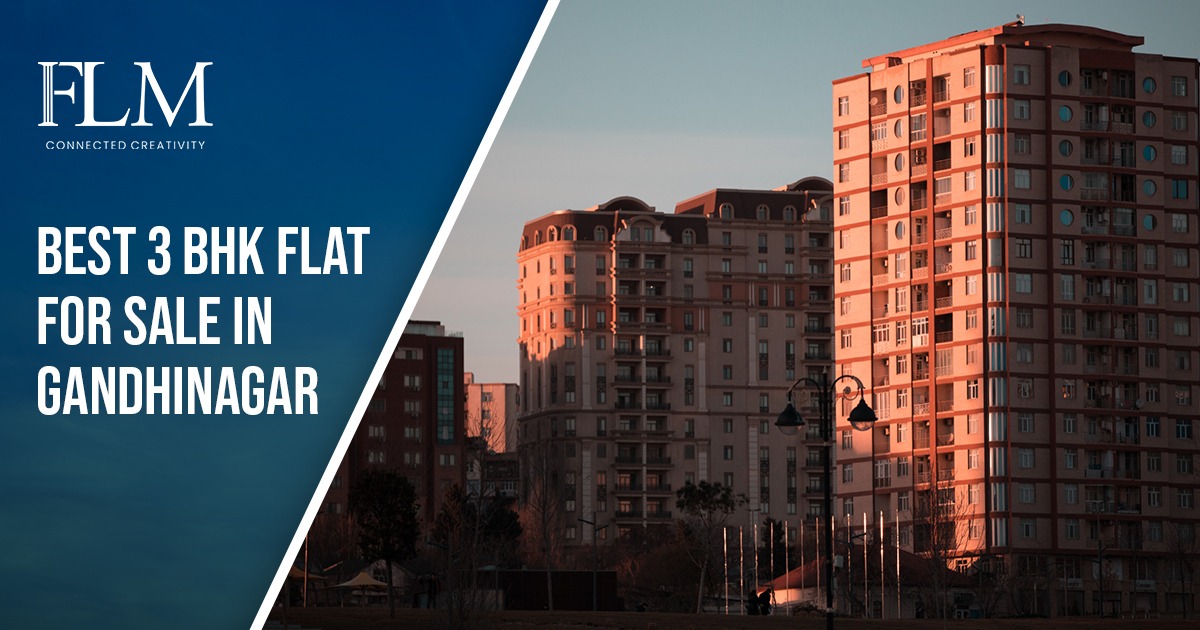 WhatsApp Image 2025-11-17 at 2.20.47 AM (1)