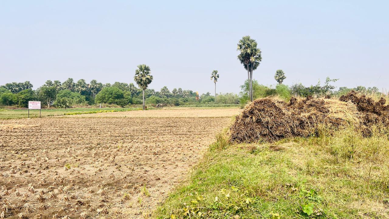 scaled_IMG-20251206-WA0001