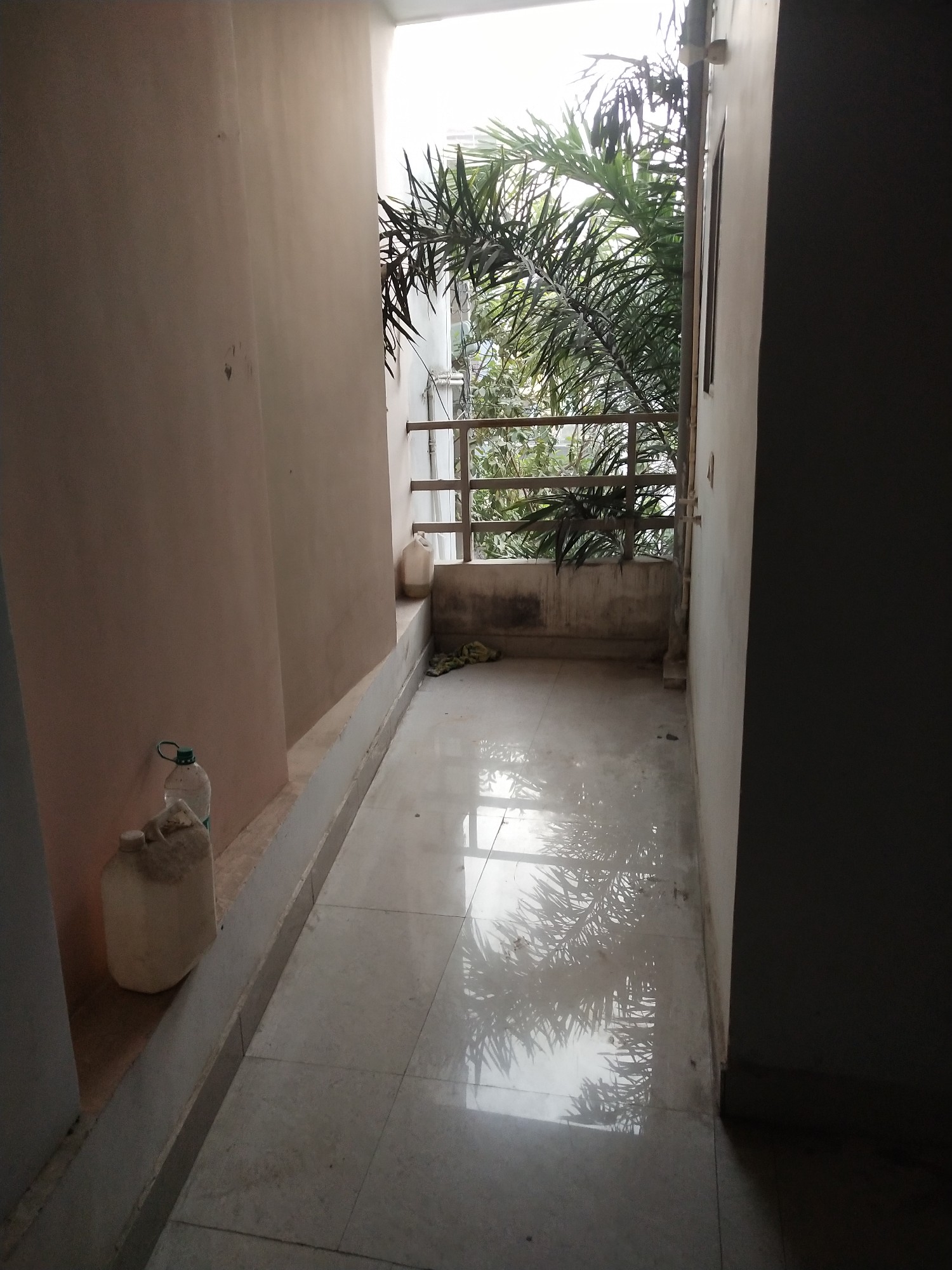 scaled_IMG_20251213_161326