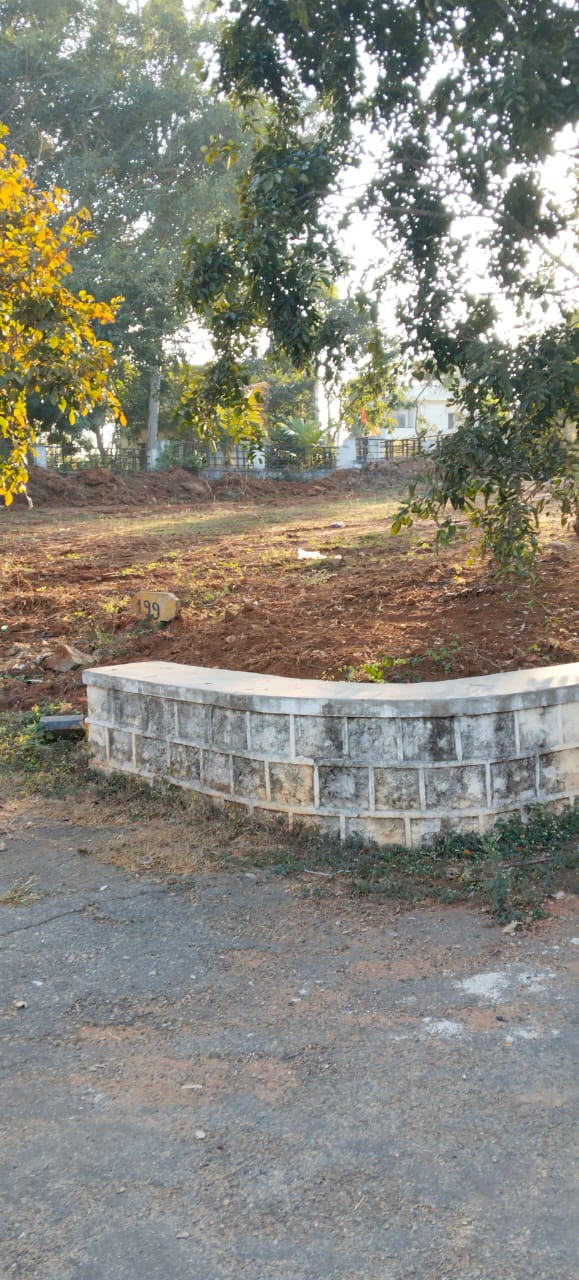 scaled_IMG-20251217-WA0017