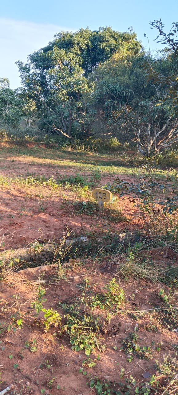 scaled_IMG-20251217-WA0024