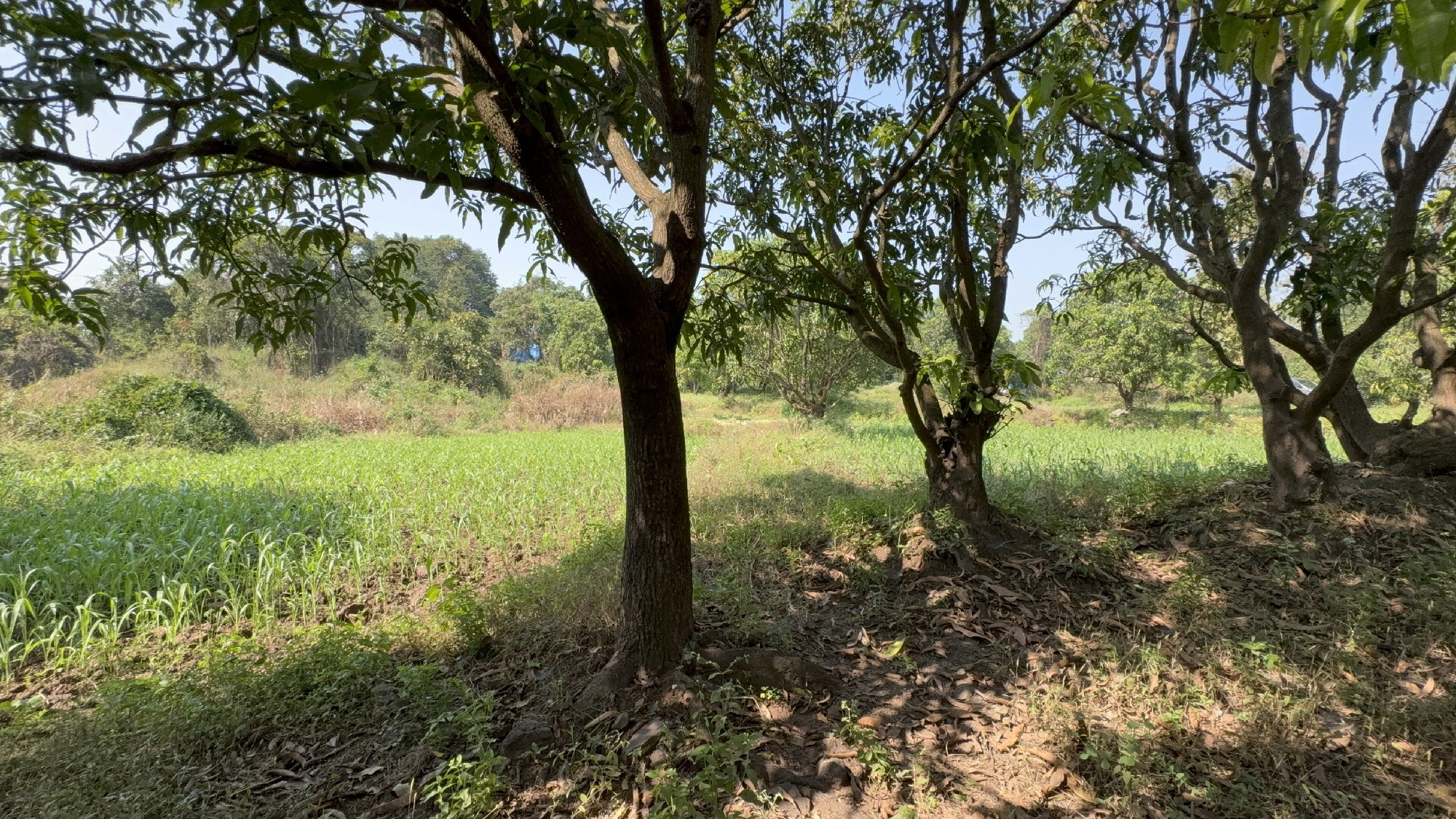 scaled_00d9dd9b-899c-42f0-829e-8d14fd446133-1_all_12820