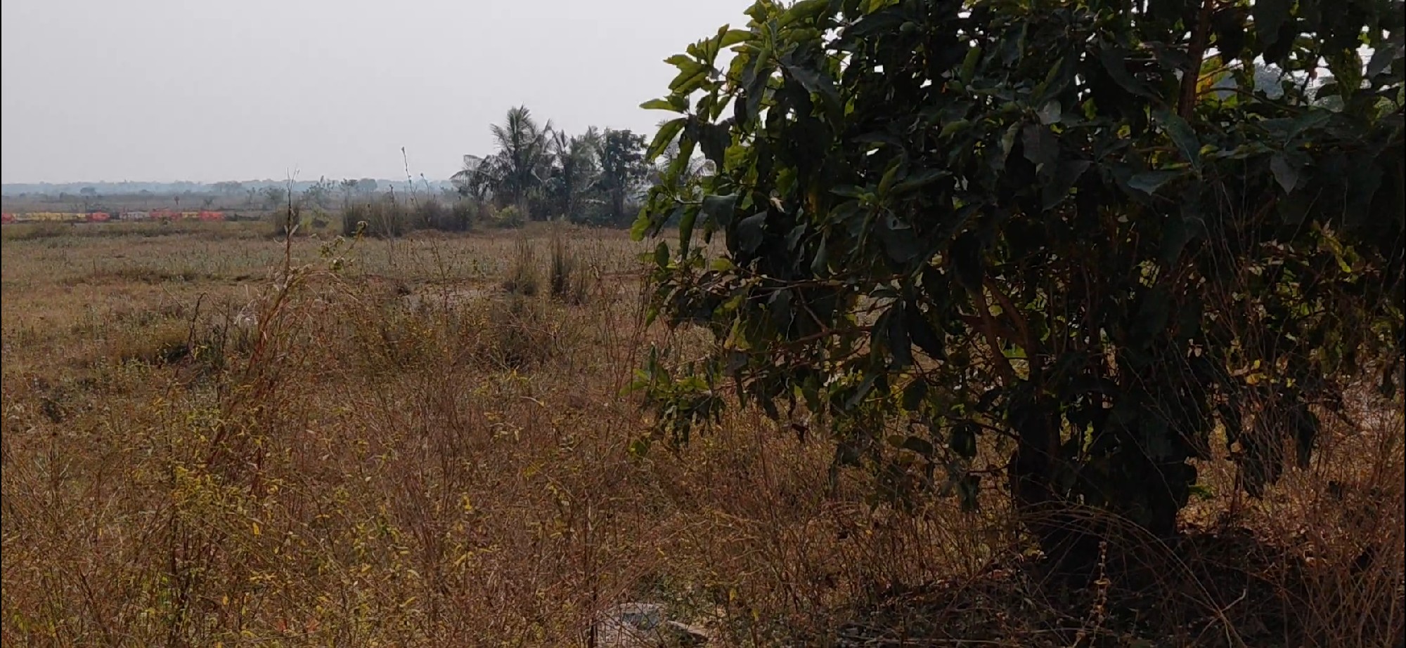 scaled_694af3b8-de5e-445c-9ea6-d36953d38c9a-1_all_12134