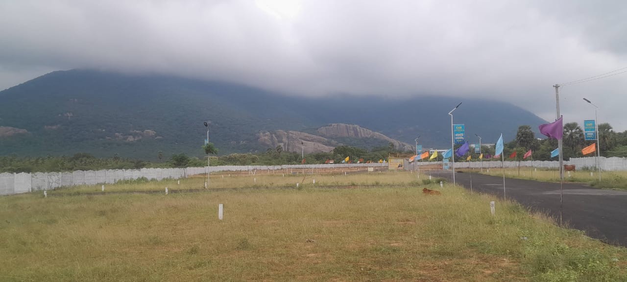 scaled_IMG-20251215-WA0004