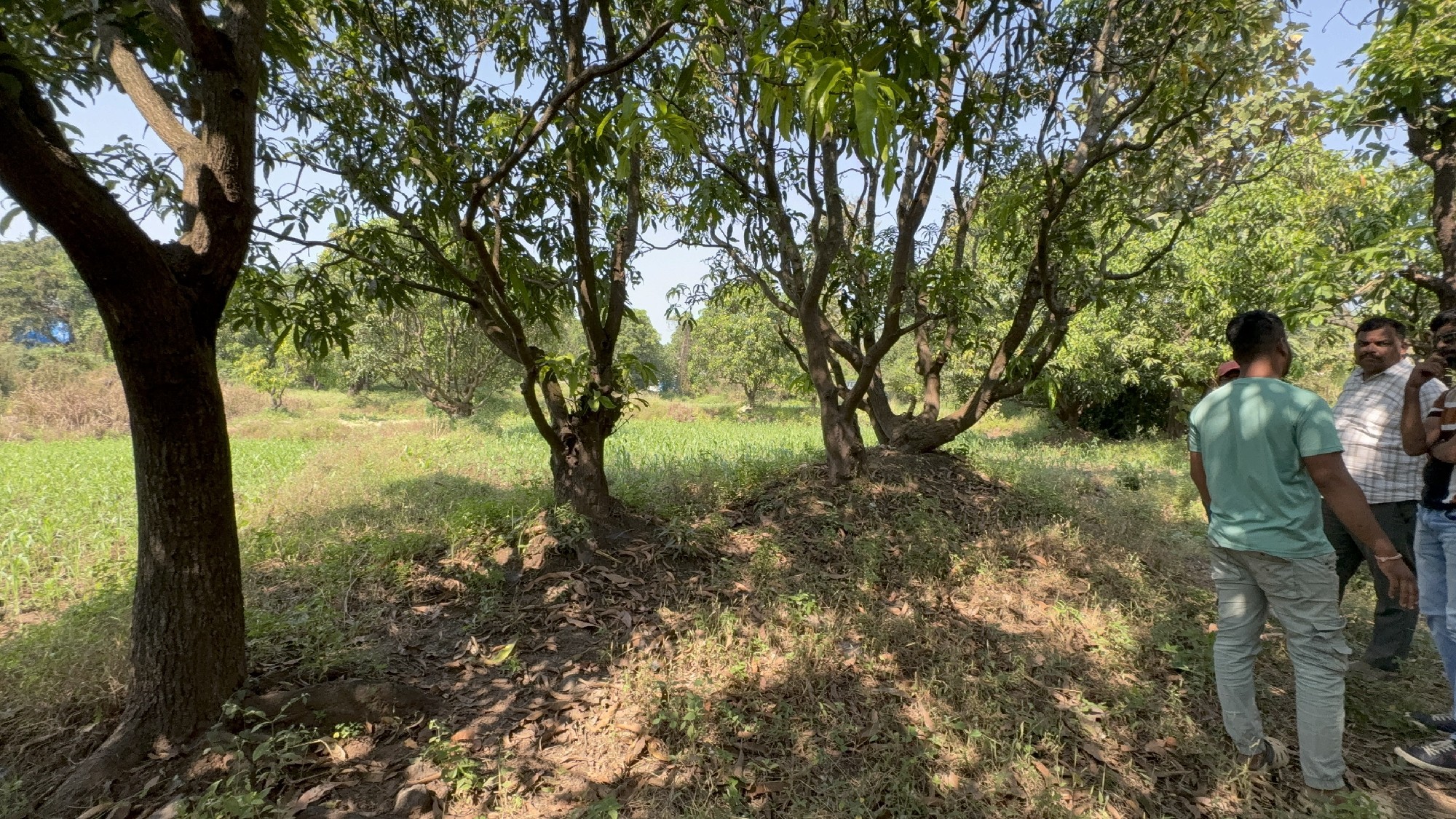 prime Location Buget Agriculture Plot for Sales 2