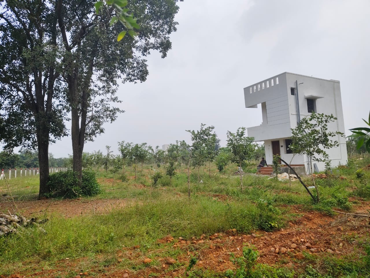 Siva Sakthi farmland