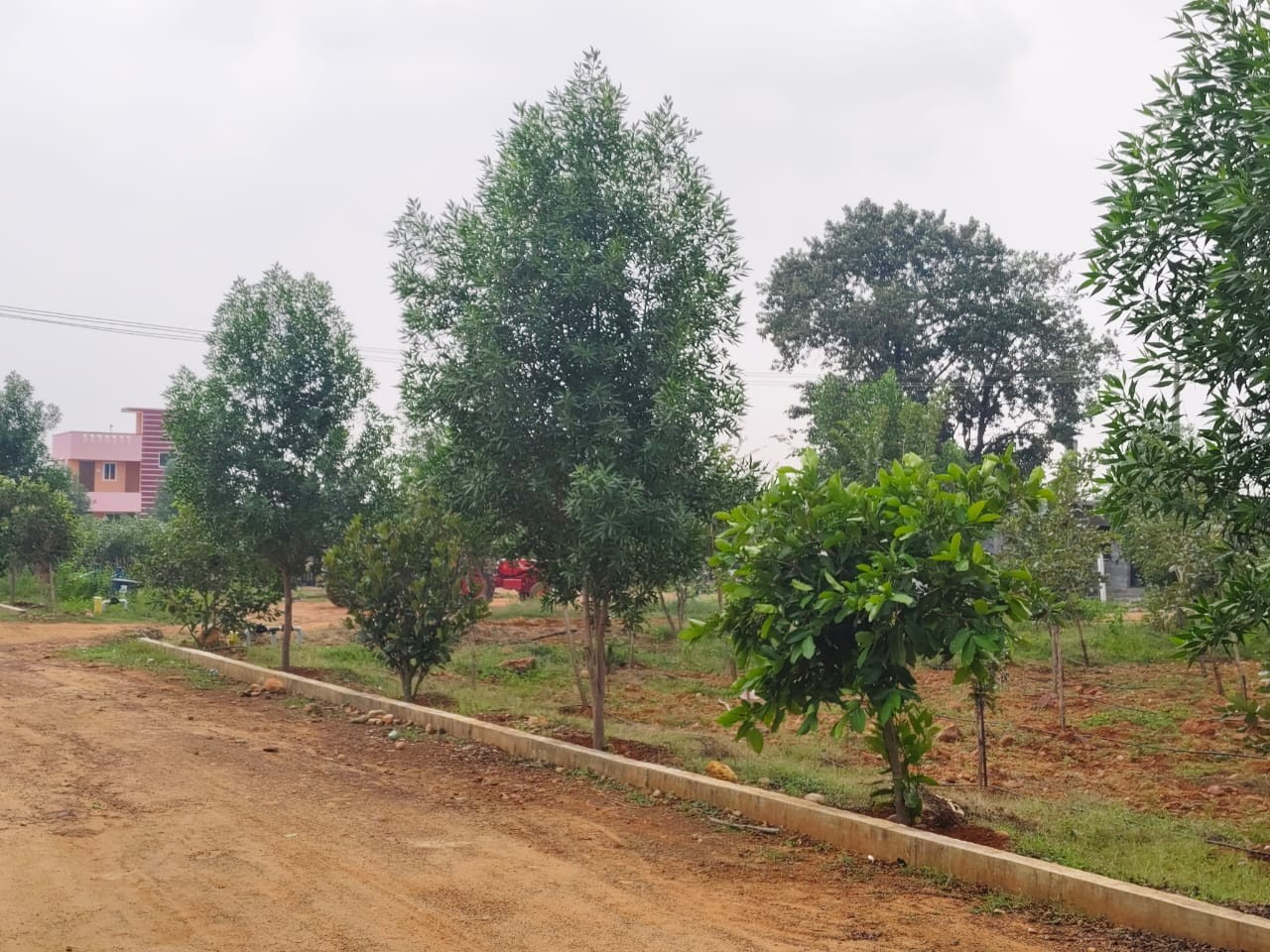 Siva Sakthi farmland 3