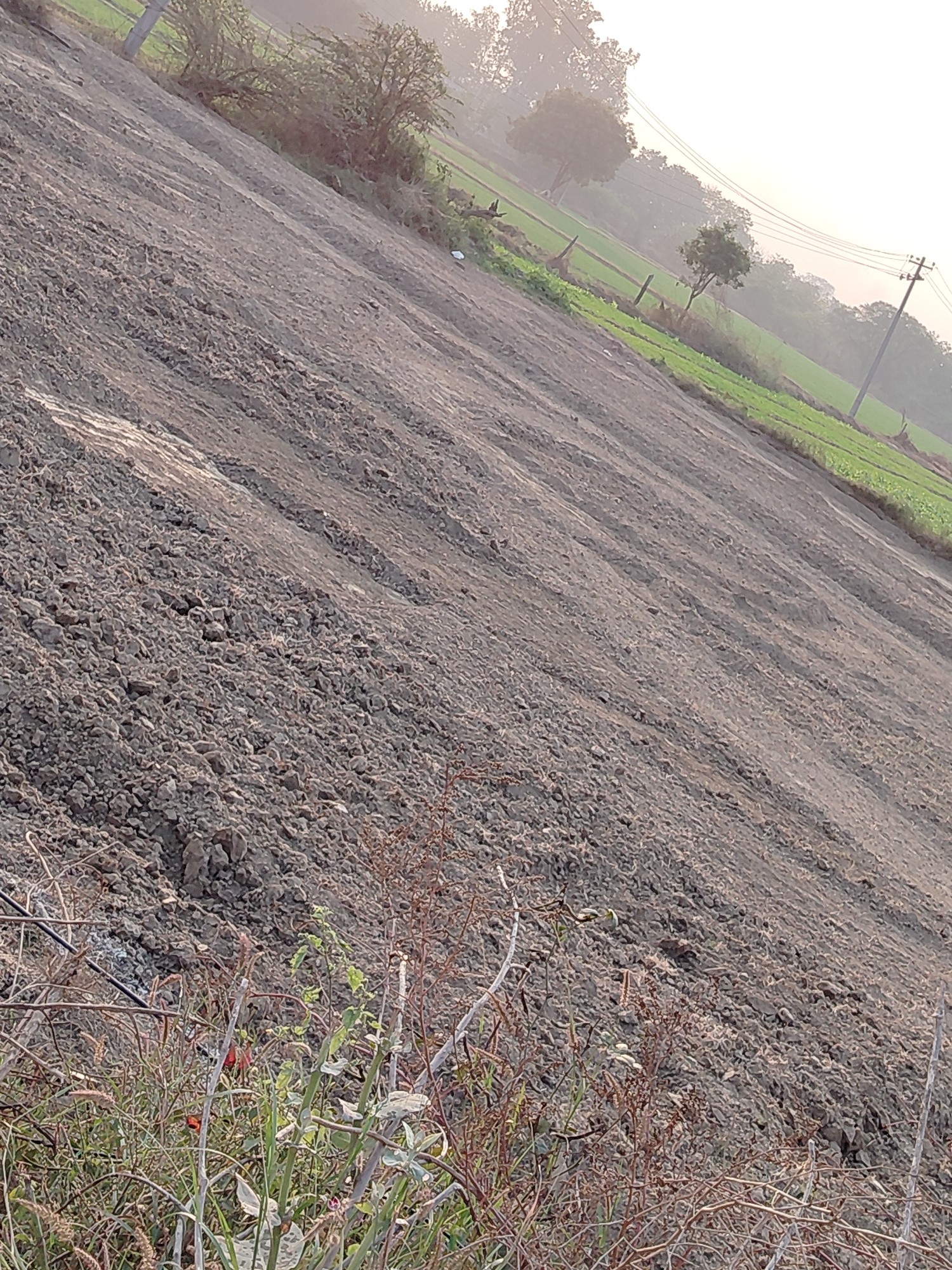 Maan property New Delhi ke paas isharheri Village me Plot hi plot jharoda kalan Road par 3