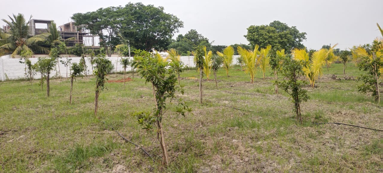 low Budget Farmland 2