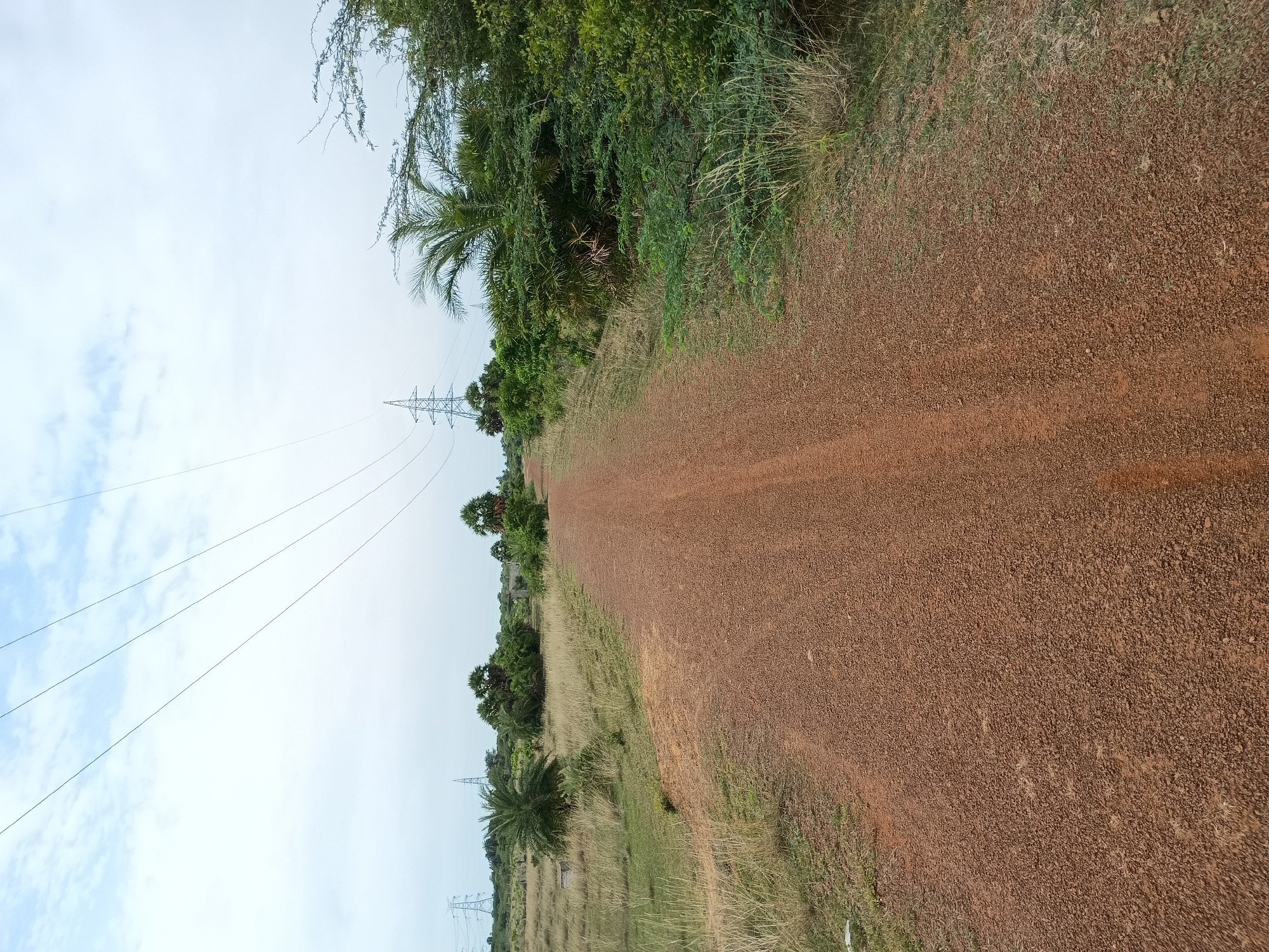 land for sale 76 cent 2